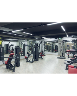 Fitness, fitnesin əhəmiyyəti, fitnesin faydaları