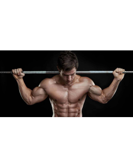 Fitnes, İdmanın faydaları, Fitness İdmanı, Fitnesə başlamaq, Fitness ilə məşğul olmaq