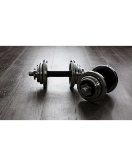 Fitnes, İdmanın faydaları, Fitness İdmanı, Fitnesə başlamaq, Fitness ilə məşğul olmaq