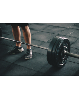 Fitnesin faydalari, Məşq, Fitness