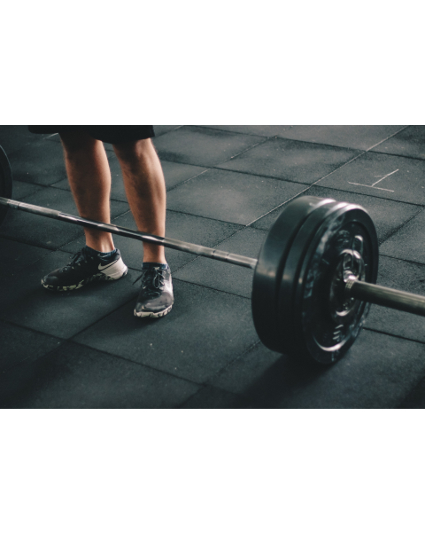 Fitnesin faydalari, Məşq, Fitness