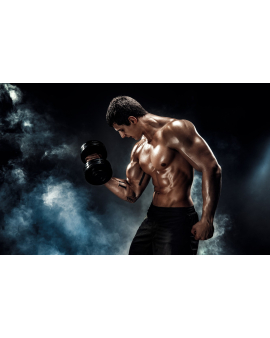 Fitness, Fitness və Məşq