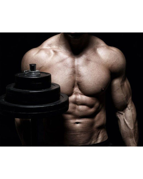 FİTNESS, SPA, Fitness spa mərkəzi, kişilər üçün spa xidməti, Fitness klub FİTNESS, SPA, Fitness spa mərkəzi, kişilər üçün spa xidməti, Fitness klub