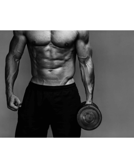 Fitness, Trenajor zal