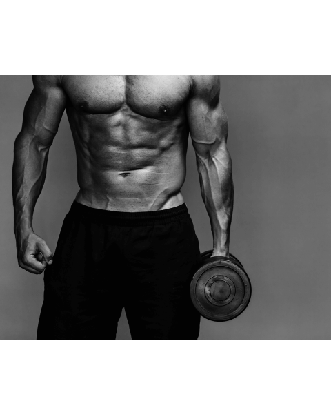 Fitness, Trenajor zal Fitness, Trenajor zal