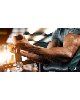 Fitness Zal, İdmanın faydaları