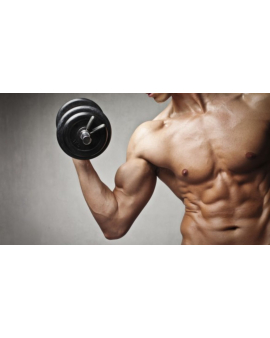 Fitness nədir, Fitneslə necə məşğul olmaq olar, Fitneslə məşğul olmağın faydaları, Fitness proqramı