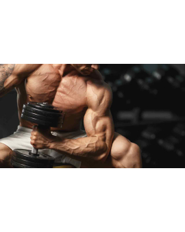 Tibbi Fitness Nədir Və Onun Faydaları Nələrdir, Fitness üçün Məşq Proqramı, Fitness Cardio