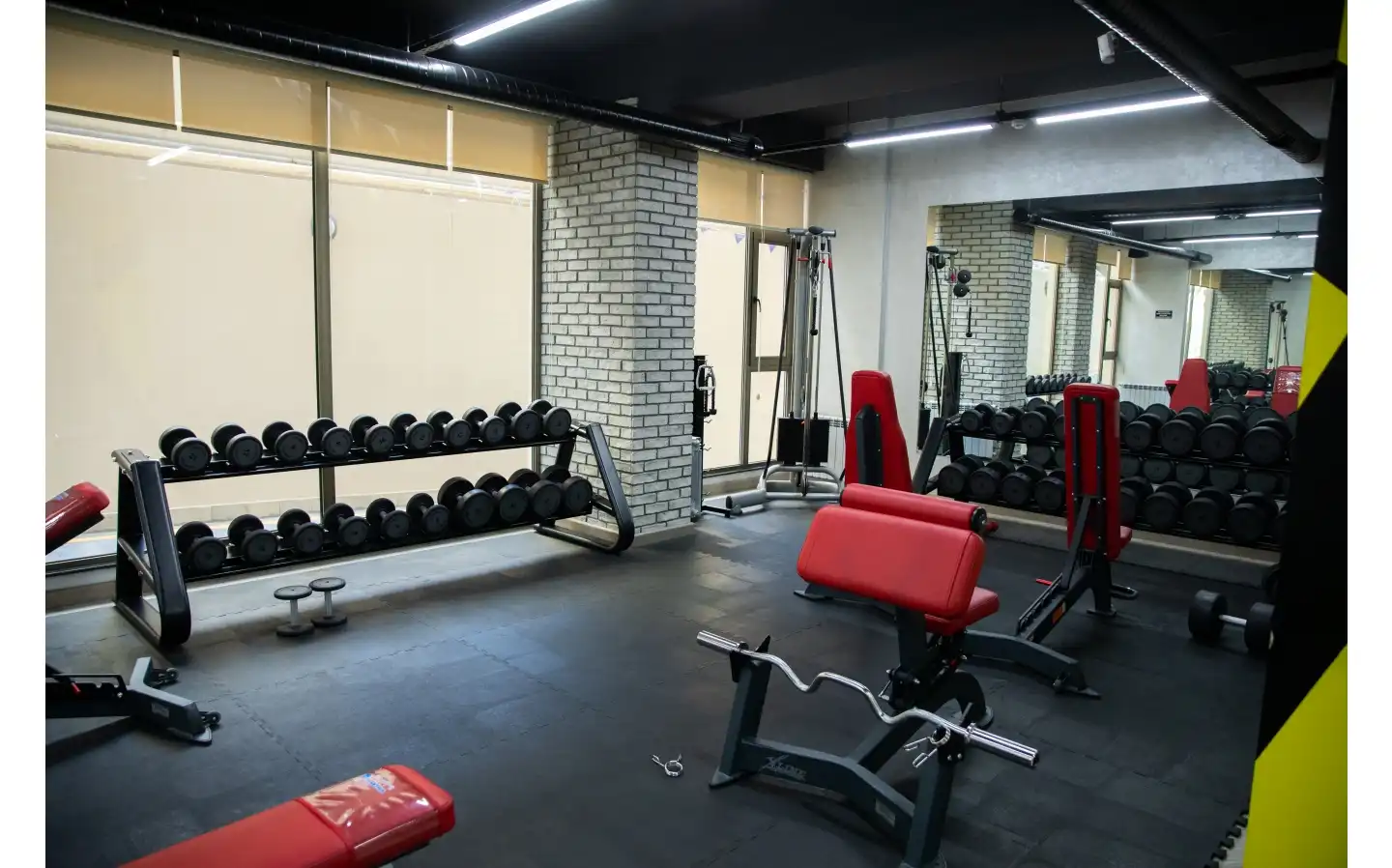 Gym, Bağlı Hovuz və Cakuzi