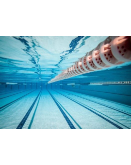 Hovuz, Spa mərkəzi, İdman