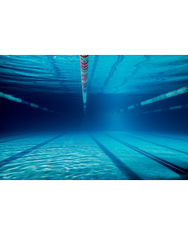 Hovuzun Faydaları, Arıqlamaq, Sağlamlıq