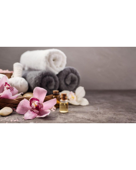 Spa nədir, SPA-nın mənşəyi, Kim SPA-ya gedə bilər, SPA mərkəzi