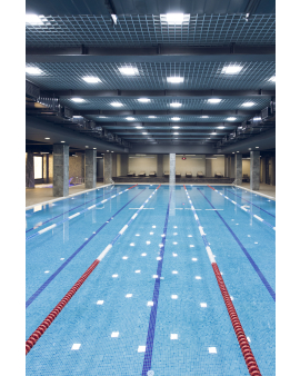 Üzgüçülük, İstirahət və idman