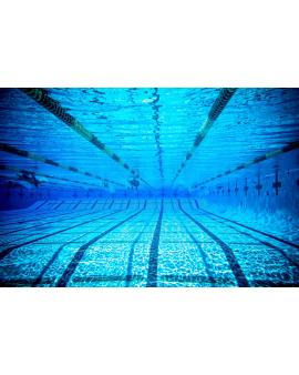 Üzgüçülüyün Faydaları, Hovuzda olmağınız üçün səbəb